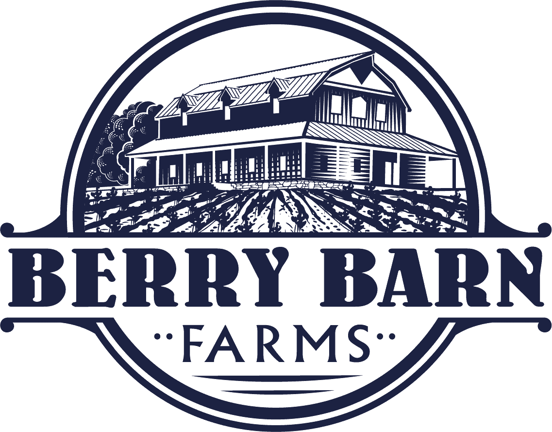 Blueberry Picking | Berry Barn Farms | Jefferson City, MO