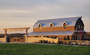 Berry Barn Farms | Venue | Weddings – Events – Blueberry Picking | Jefferson City, MO
